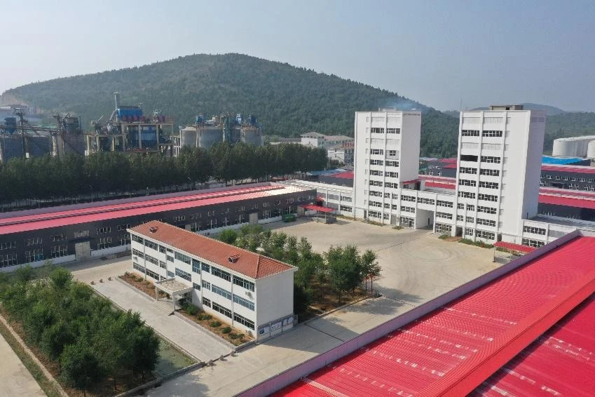 بيئة الشركة